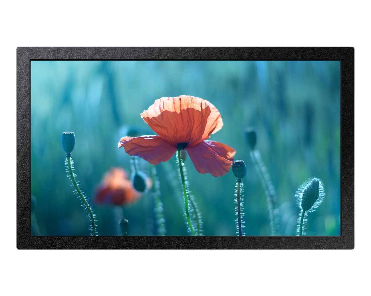 13" QBR Full HD Small Display - BrandCart Kenya