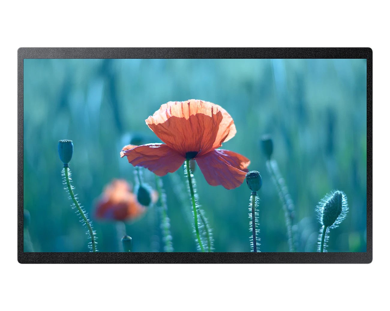 24" QBR-B Full HD Small Display - BrandCart Kenya